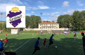 Grüners tilholdssted: Dælenenga